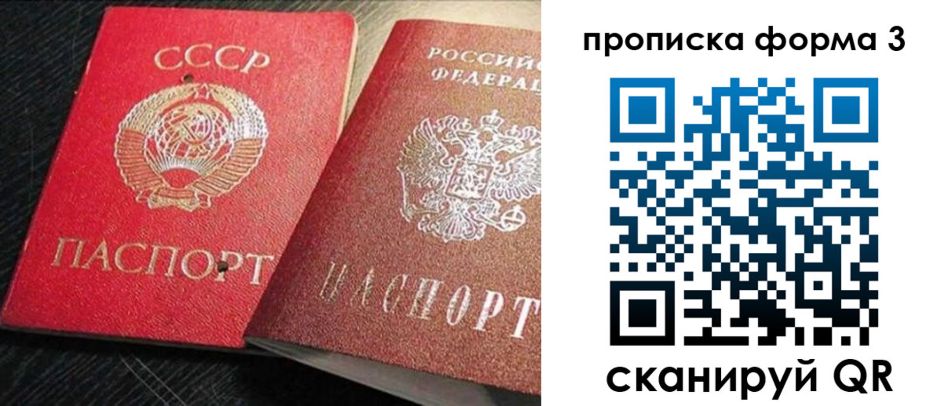 временная регистрация поиск в Александровске-Сахалинском